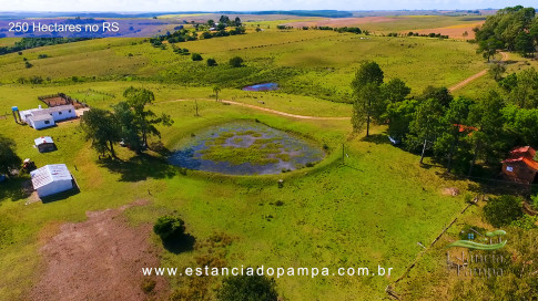 Gilberto Monteiro - Pra ti guria [VDownloader].00_02_47_12.Quadro034_bade581ff6efe81eb6fcf166ed2e2b51dcf0bf26.jpg